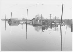 Flood scenes in Sebastopol, California, 1940 (Digital Object)