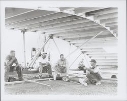 Todd Construction and Taylor Roofing erecting a building, Rohnert Park, California, 1958 (Digital Object)