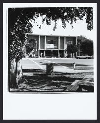 Sonoma Cheese Factory, Sonoma, California, 1972 (Digital Object)