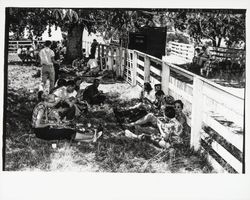 G.K. Hardt employee picnic, Santa Rosa, California, 1958 (Digital Object)