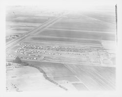 Aerial view of Rohnert Park, California and Highway 101, , 1958 (Digital Object)