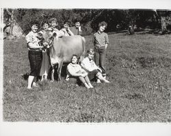 Girls in a field with a cow, Santa Rosa, California, 1956 (Digital Object)