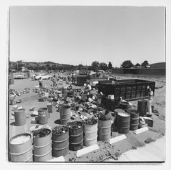 Glass sorting barrels at the Recycling Center, Santa Rosa, California, 1971 (Digital Object)