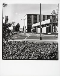 Intersection of First Street and Santa Rosa Ave. looking north, Santa Rosa, California, 1977 (Digital Object)