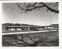 Larkfield Center, Santa Rosa, California, 1960 (Digital Object)