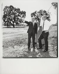 Three men looking at plans for the Tanglewood subdivision, Santa Rosa, California, 1971 (Digital Object)