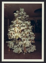 Christmas tree at Sonoma Mortgage, Santa Rosa, California, 1970 (Digital Object)