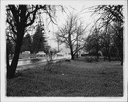 Mendocino Ave. at intersection of Steele Lane, Santa Rosa, California, 1958 (Digital Object)