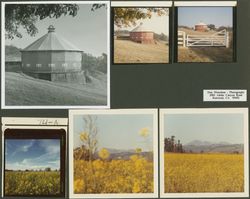 Round Barn at Fountaingrove Ranch, Santa Rosa, California, and Sonoma County mustard fields, 1980 (Digital Object)