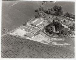 Aerial view of Ursuline High School, Santa Rosa, California, 1958 (Digital Object)