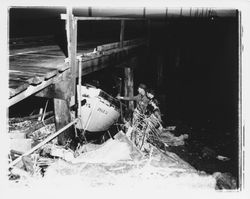 Man and two boys inspect a boat washed under a wharf, Bodega Bay, California, January 1959 (Digital Object)