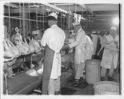 Workers and chicken carcasses at the California Poultry, Incorporated, Fulton, California, 1958 (Digital Object)