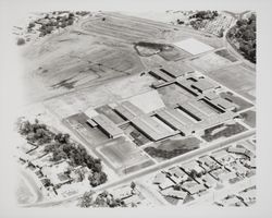 Aerial view of Montgomery High School, Santa Rosa, California, 1959 (Digital Object)