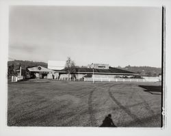 Village Drive-in Theatre, Santa Rosa, California, 1959 (Digital Object)