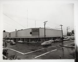 Sears Roebuck and Co., Santa Rosa, California, 1960 (Digital Object)