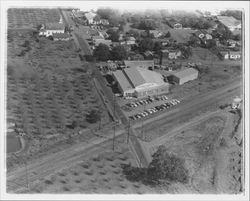 Aerial view of California Poultry, Inc., Fulton, California, 1958 (Digital Object)