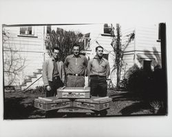 Pioneer Hatchery works with boxes of chickens, Petaluma, California, 1937 (Digital Object)