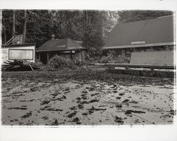 Aftermath of the flood at Guernewood Bowl, Guerneville, California, 1940 (Digital Object)