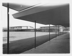 Montgomery High School quad, Santa Rosa, California, 1959 (Digital Object)