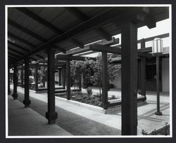 View of Montgomery Village Shopping Center breezway, Santa Rosa, California, 1979 (Digital Object)